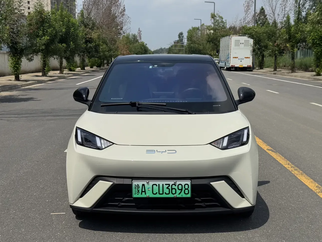BYD seagull