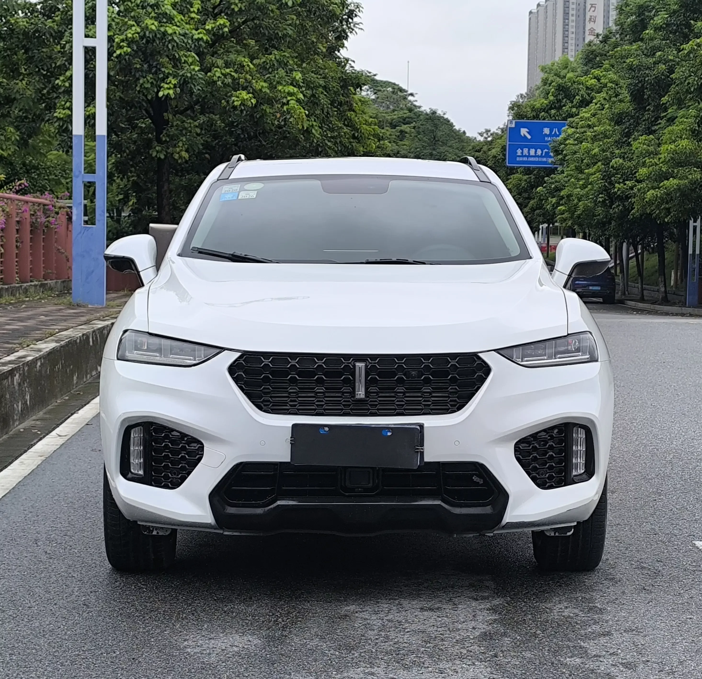 Wey Wei brand VV7