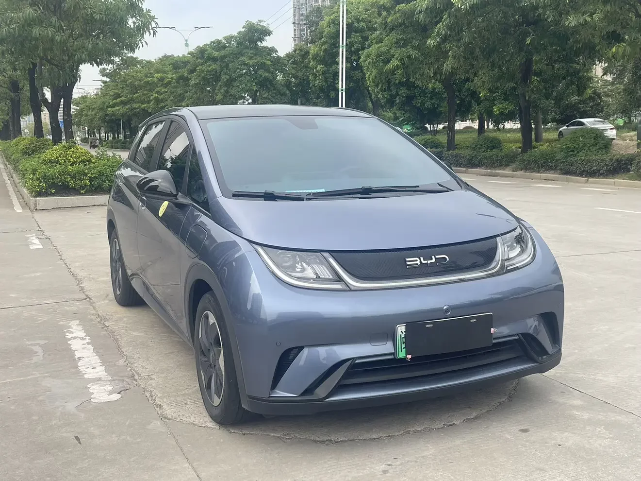 BYD dolphin