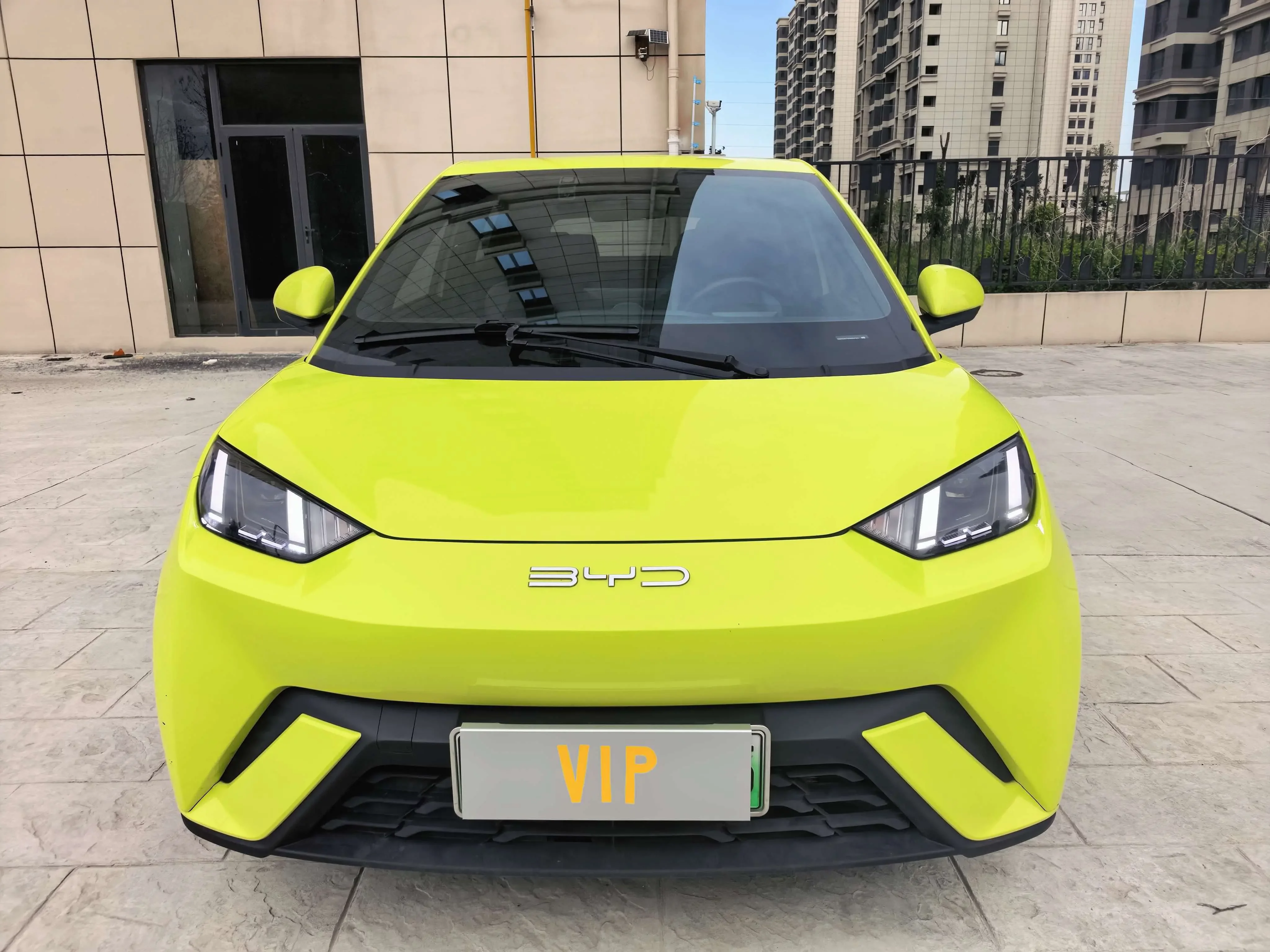 BYD seagull