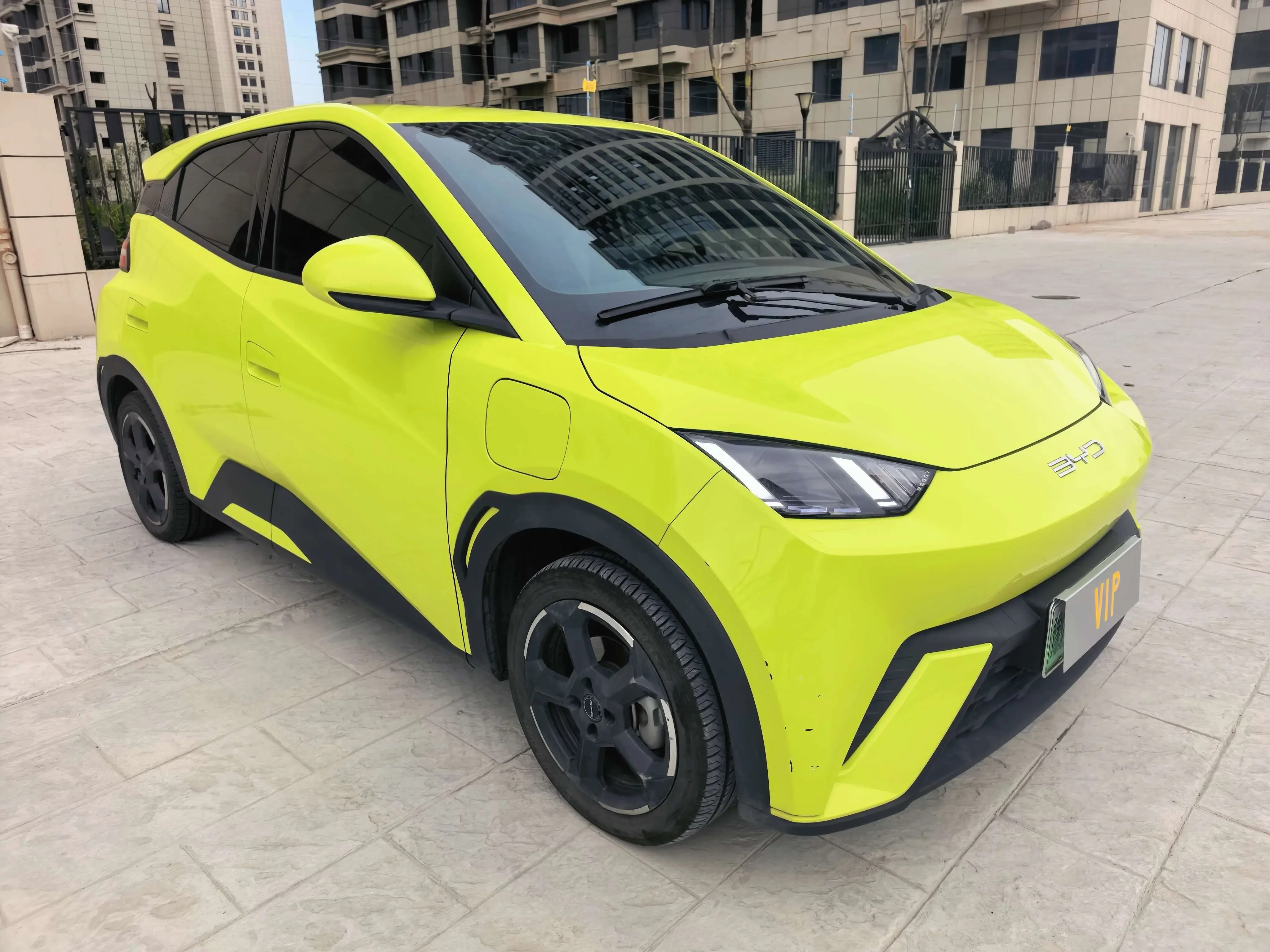 BYD seagull