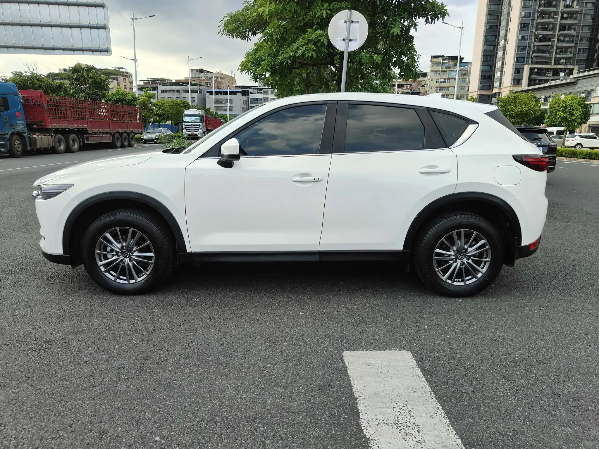 catalog-car-4