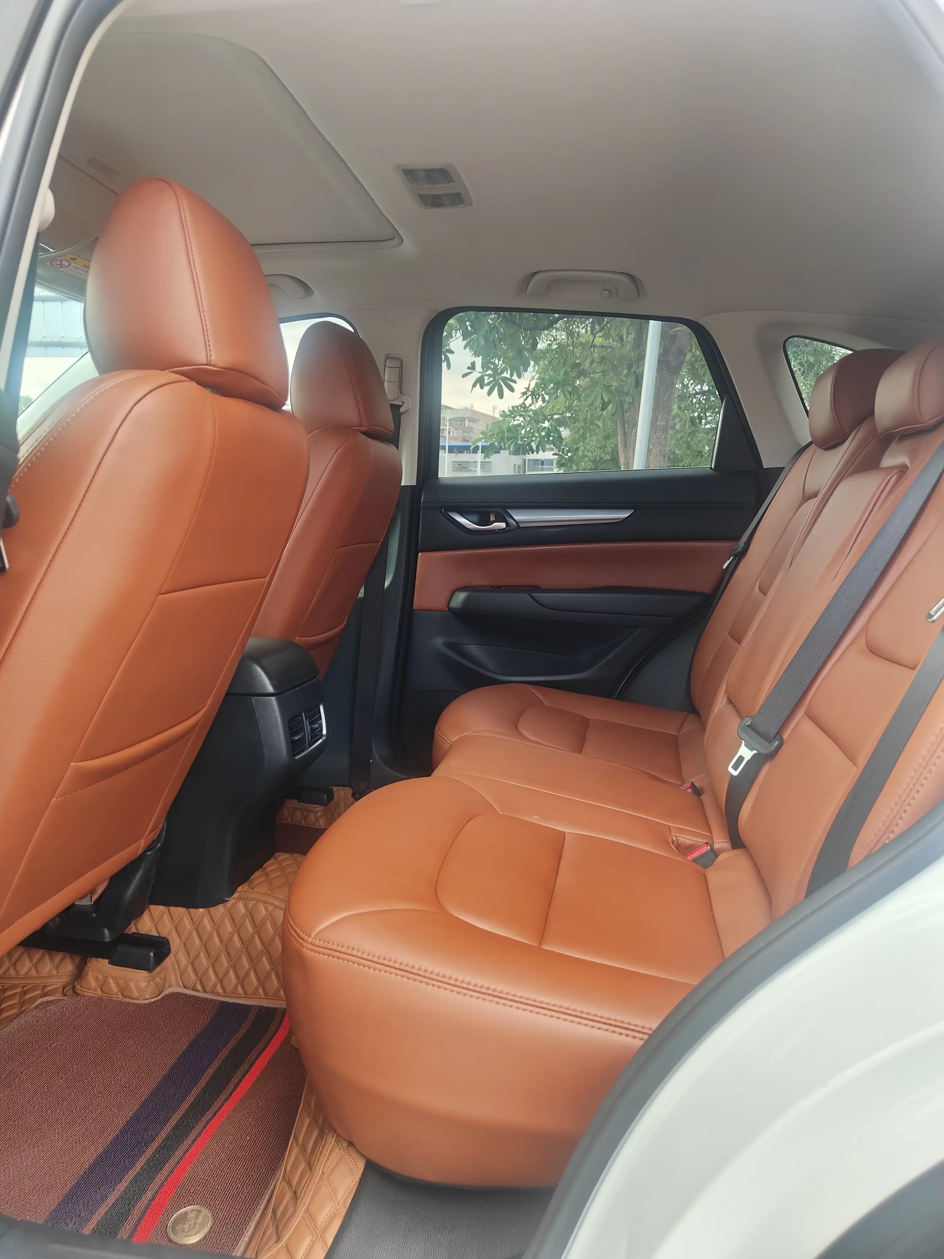 catalog-car-19