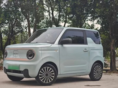 Geely panda