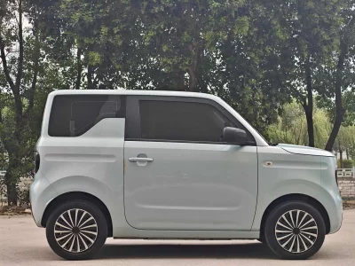 Geely panda