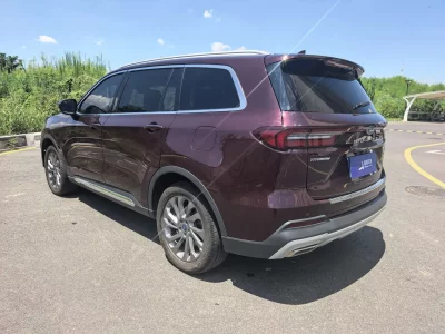 Ford Lingyu