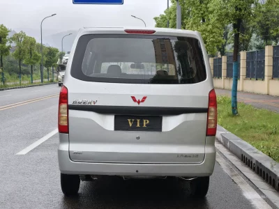 Wuling Hongguang V