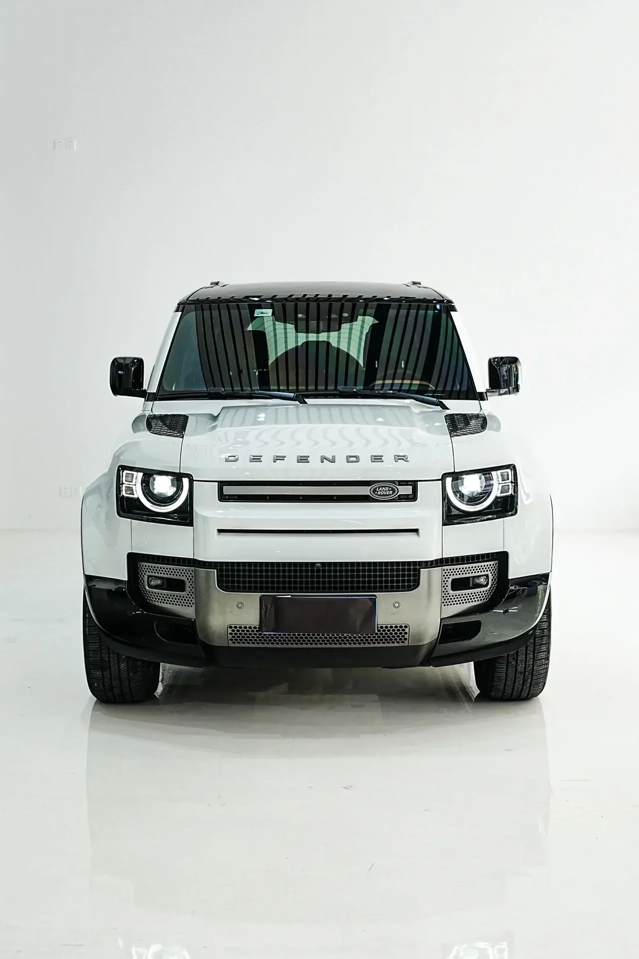 Land Rover guard