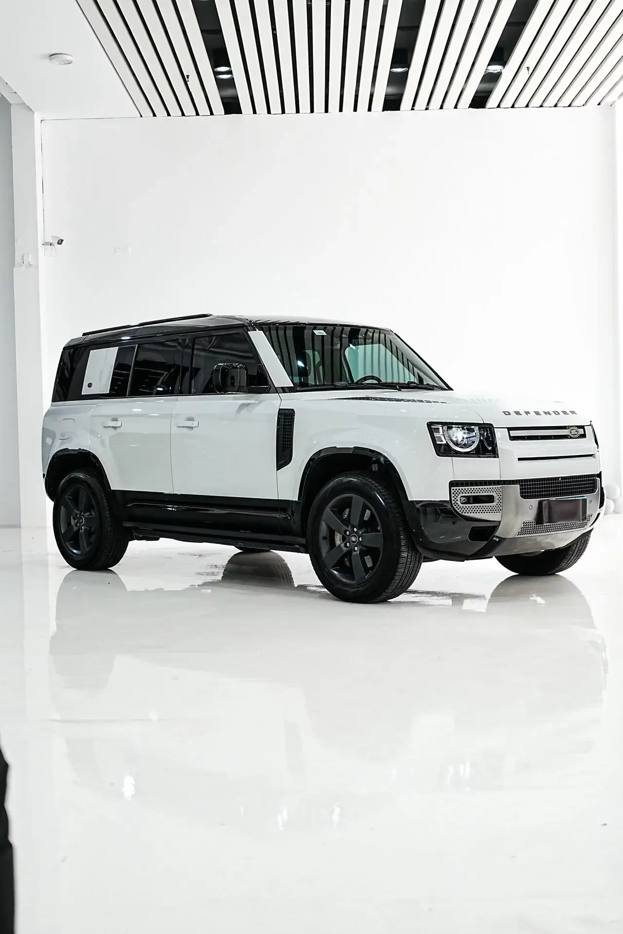 Land Rover guard