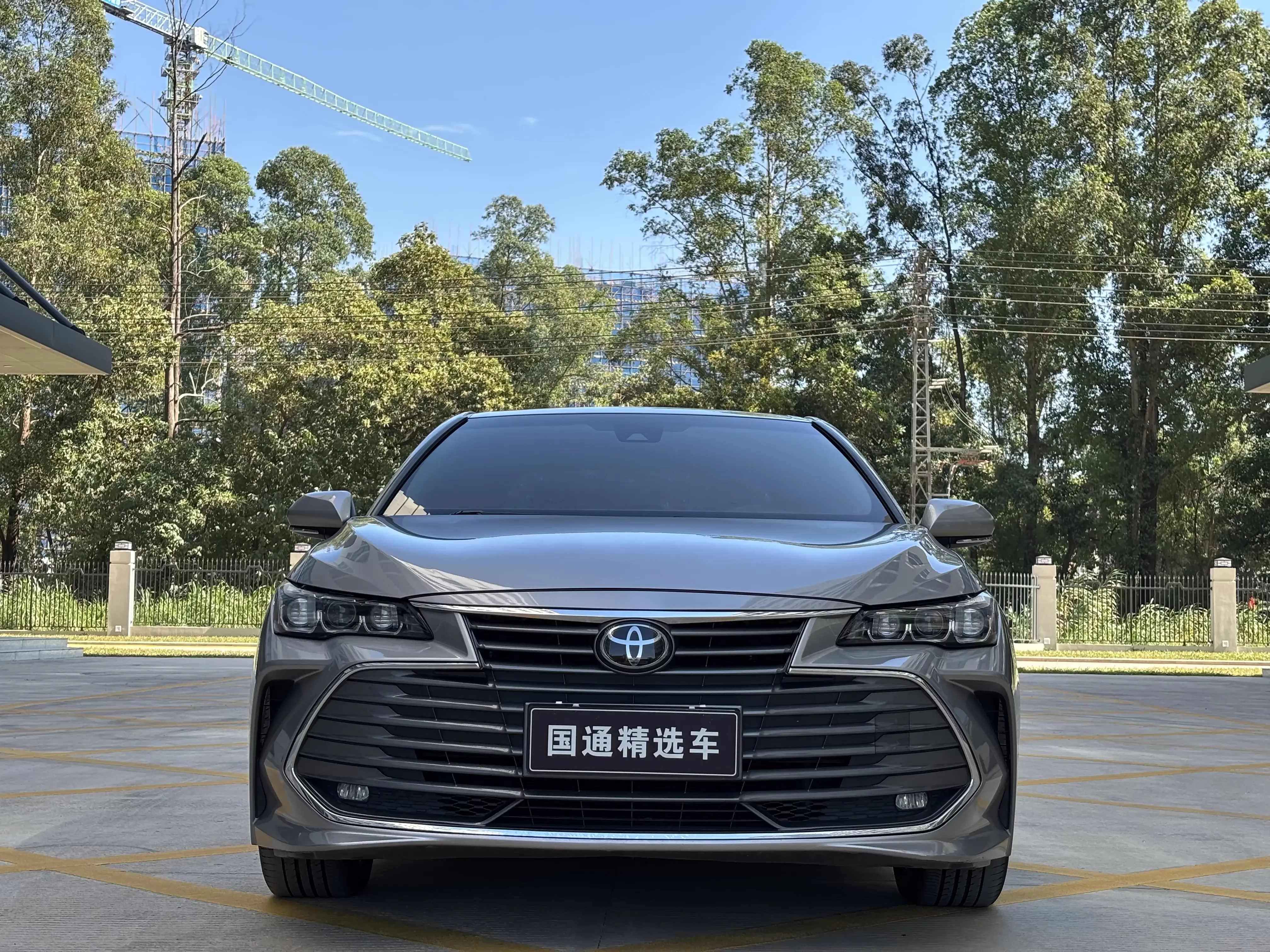 Toyota Avalon (asian dragon)