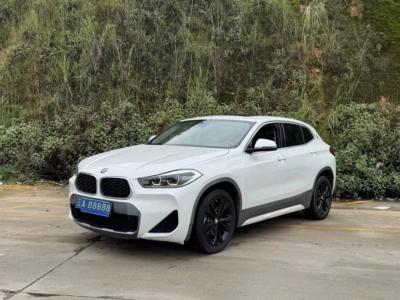 BMW X2