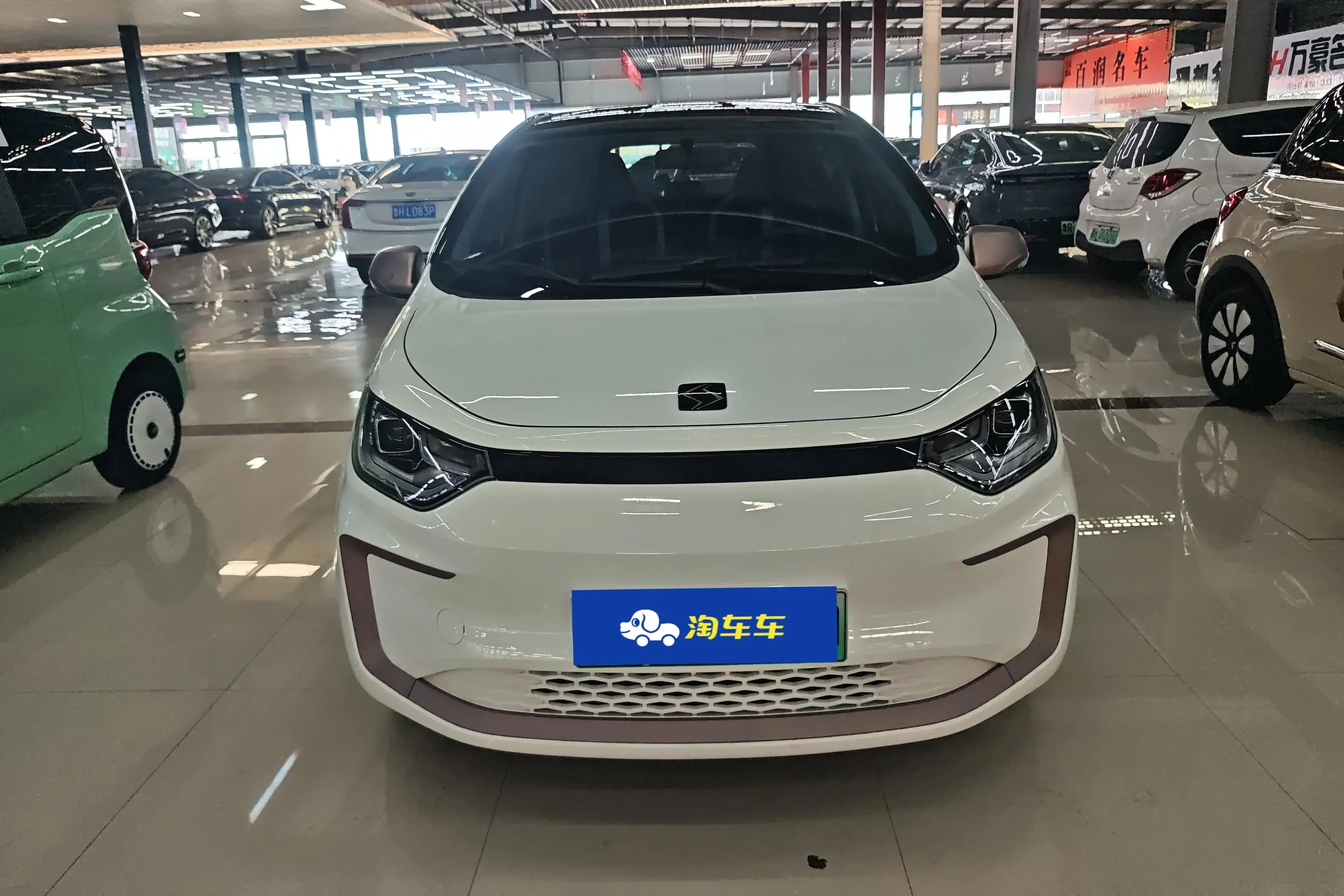 JAC (Sihao) Sihao Flower Fairy
