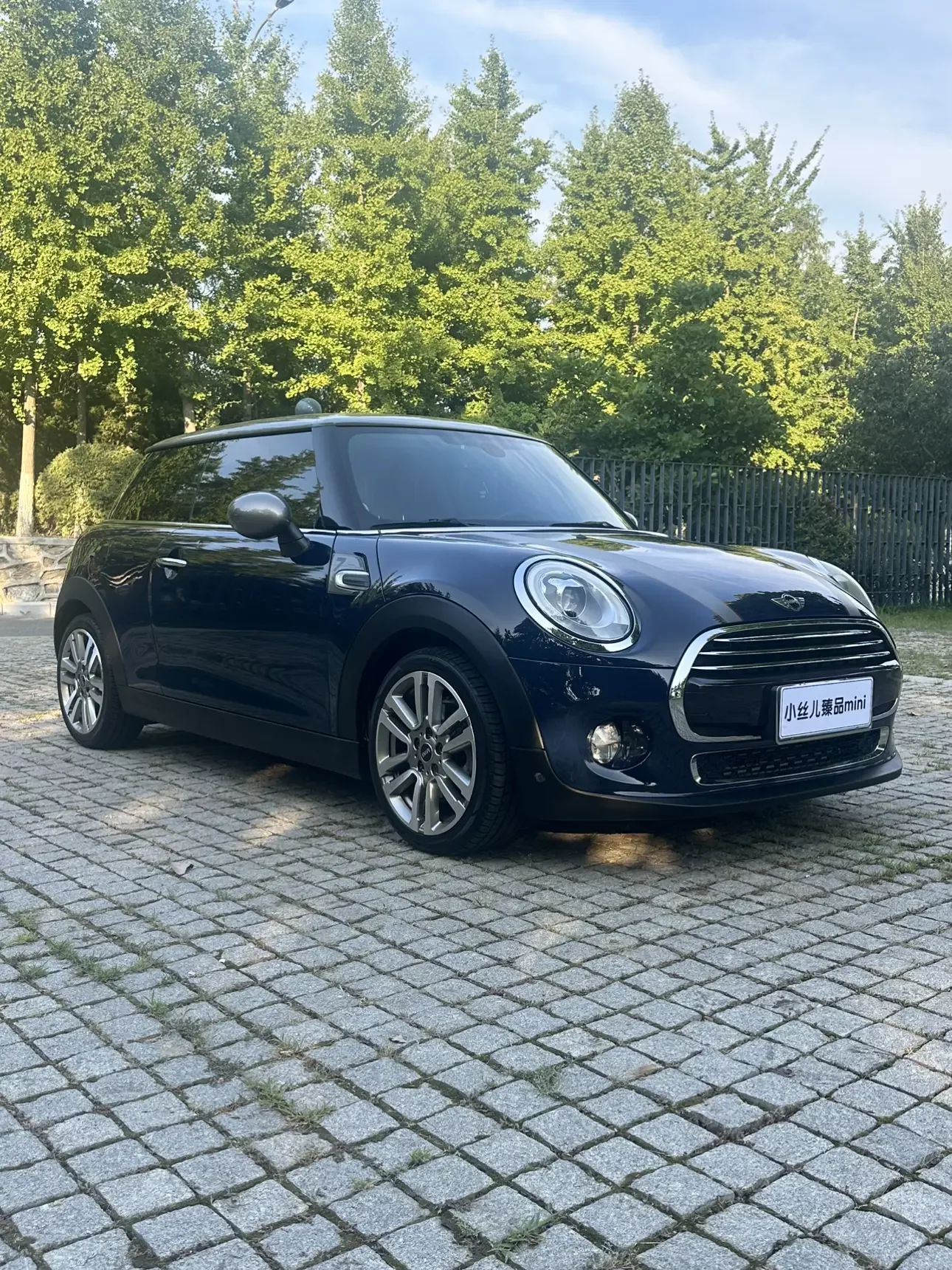 MINI 