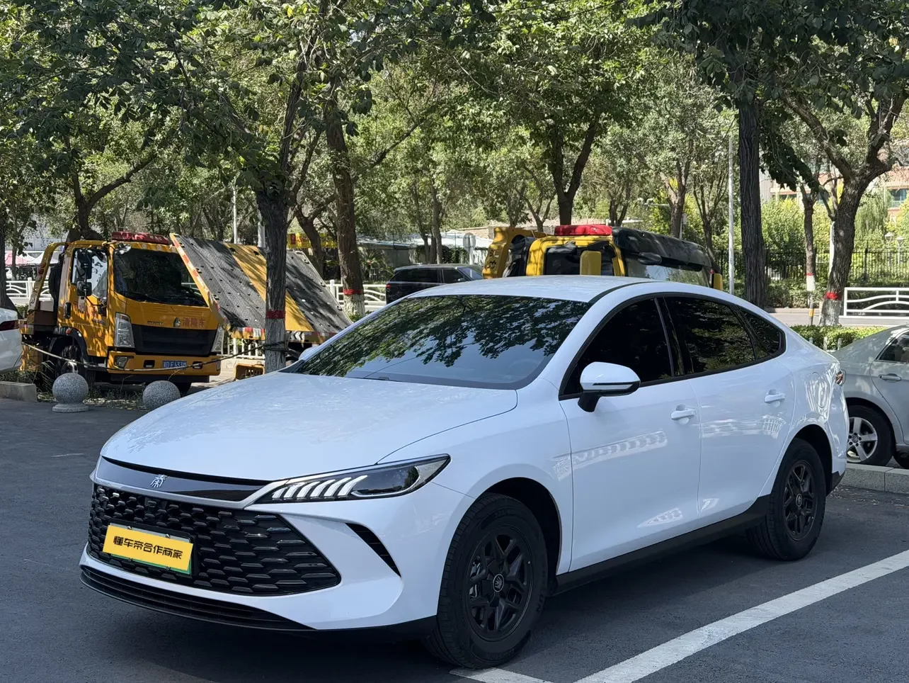 BYD Qin PLUS DM