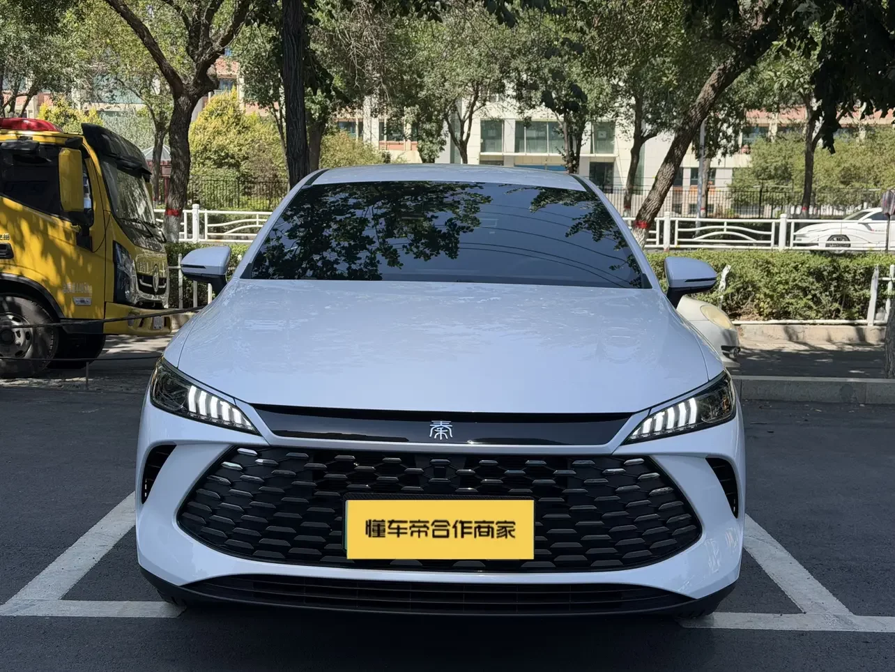BYD Qin PLUS DM