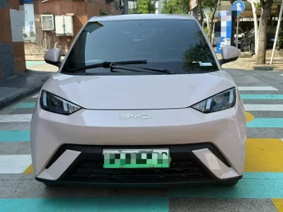 BYD Seagull