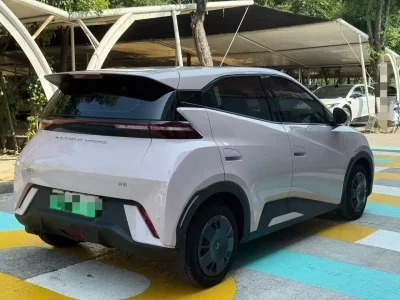 BYD Seagull