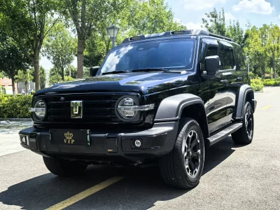 Tank 300 Hi4-T