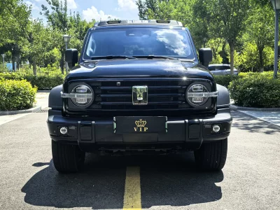 Tank 300 Hi4-T