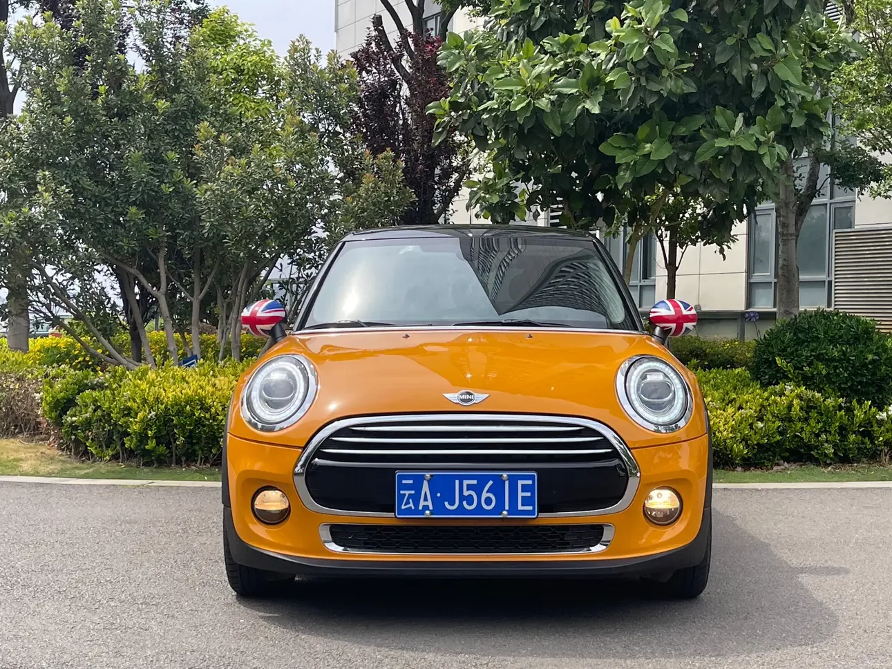 MINI