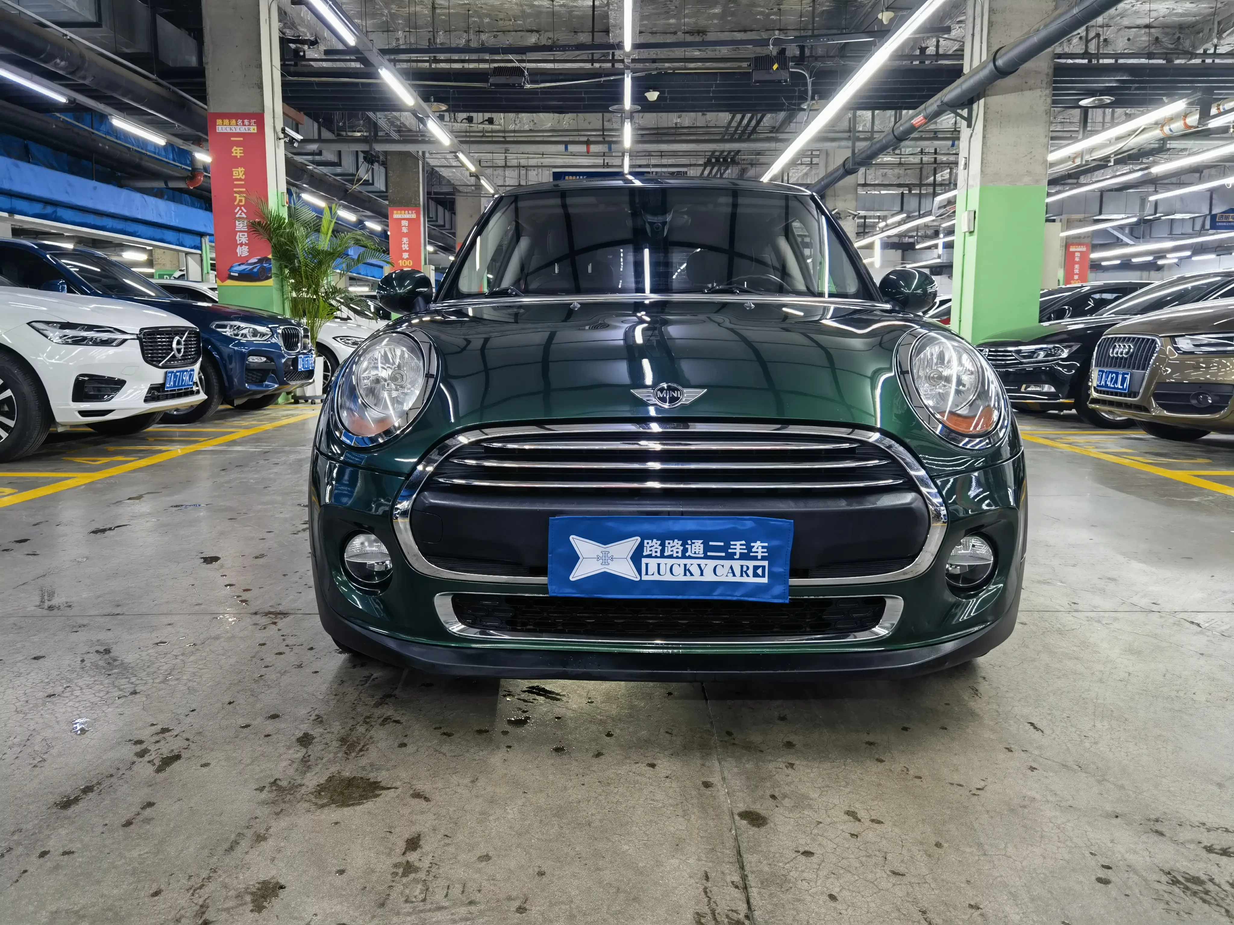 MINI 