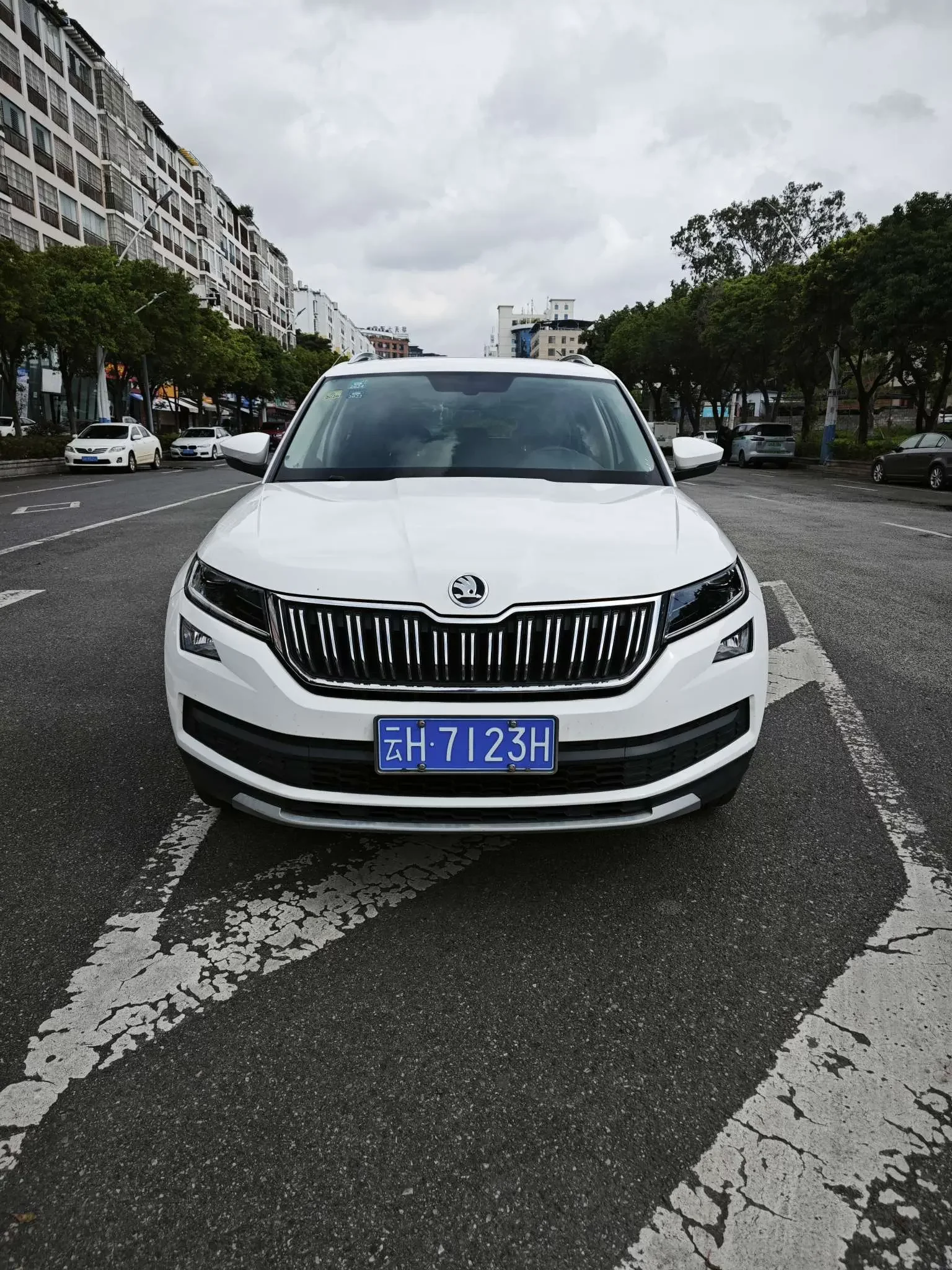 Skoda Kodiaq