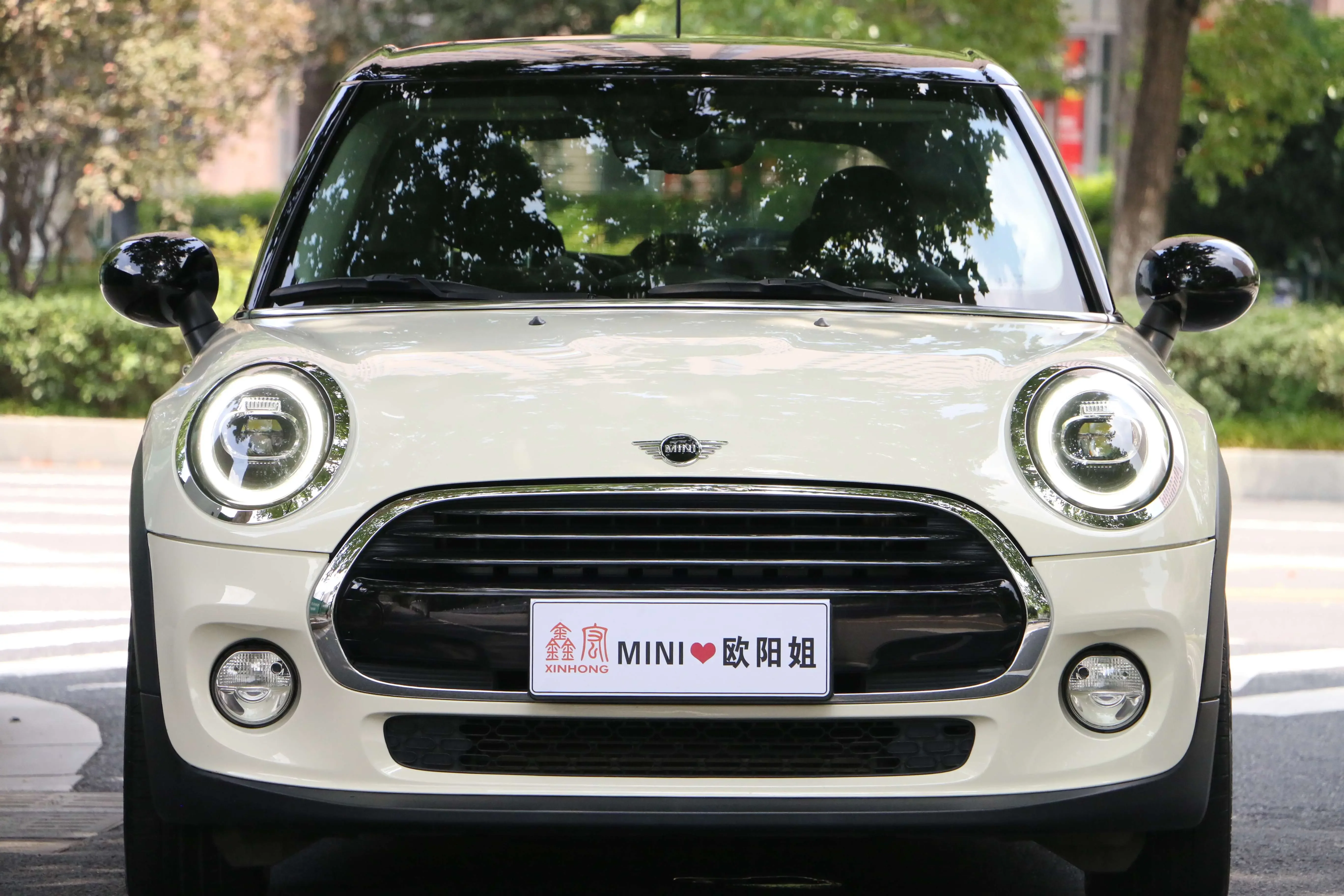 MINI 