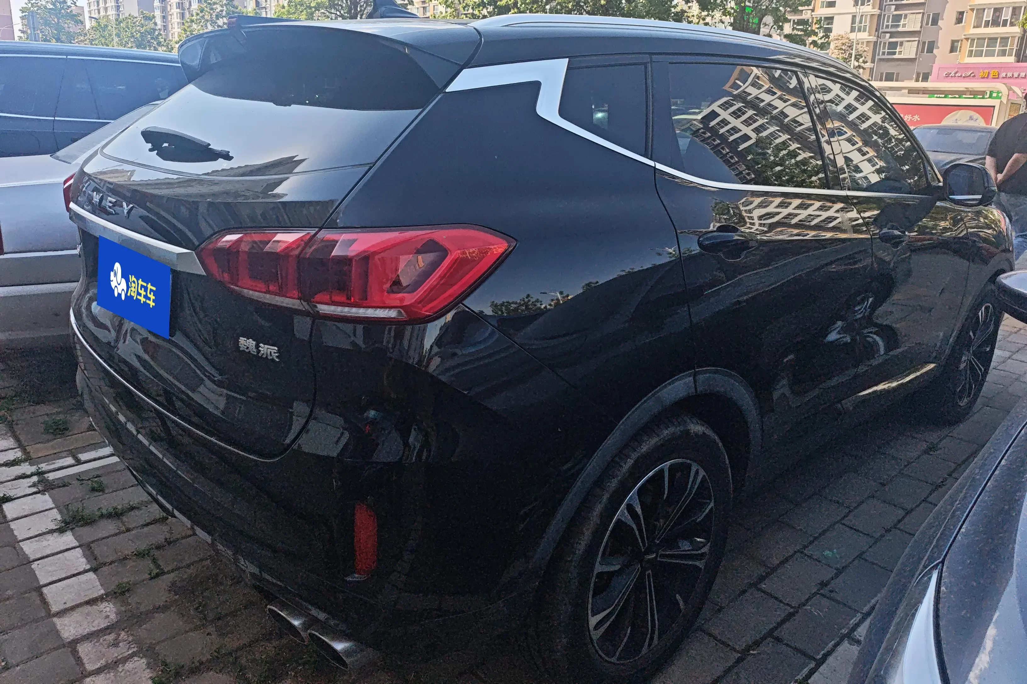 Wey Wei brand VV6
