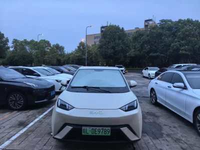 BYD Seagull