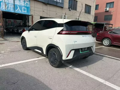 BYD Seagull