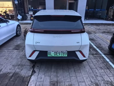 BYD Seagull
