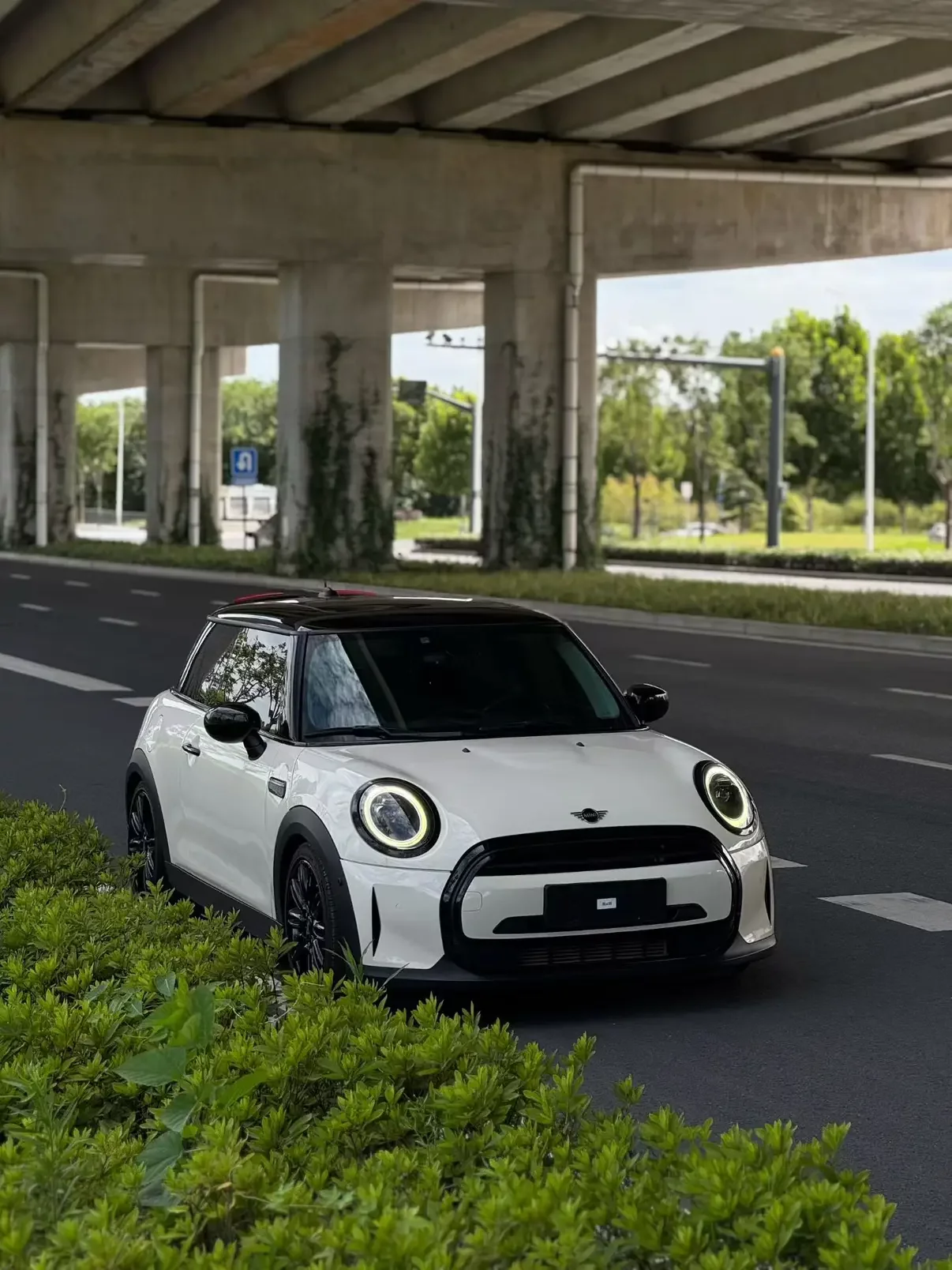 MINI 