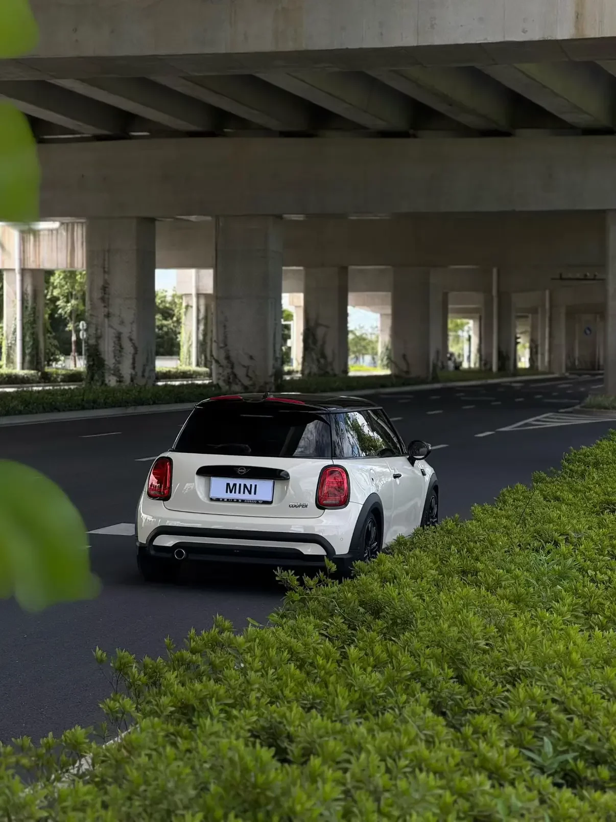 MINI 