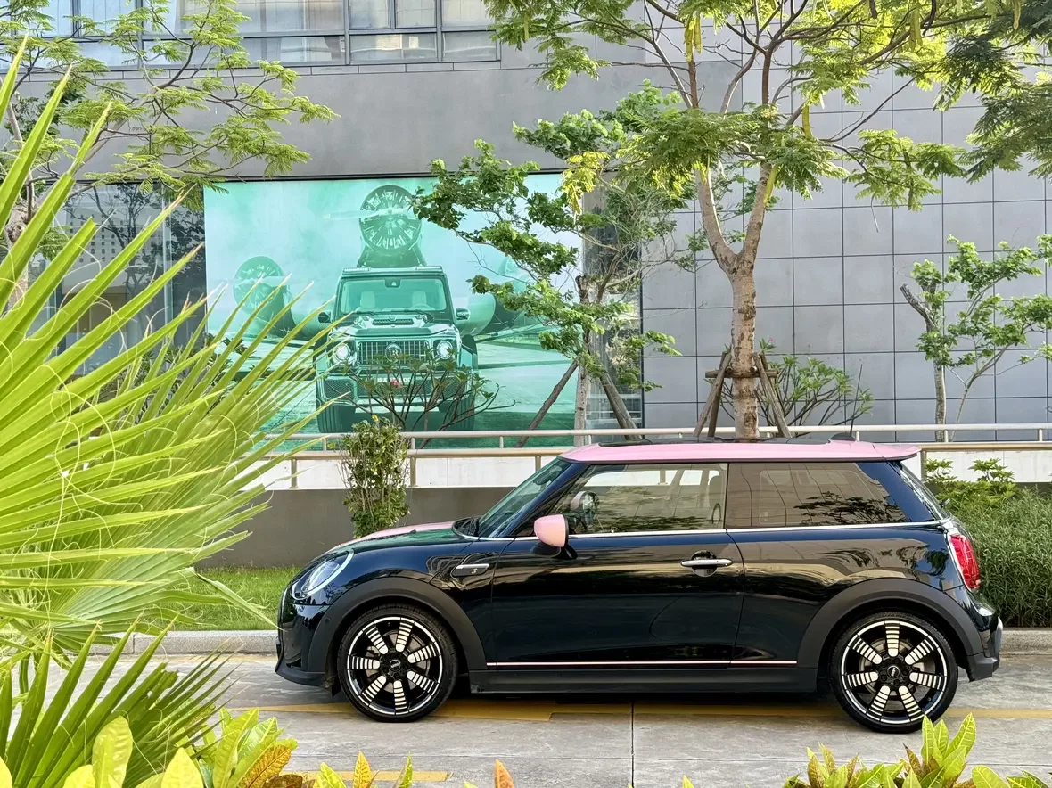 MINI 