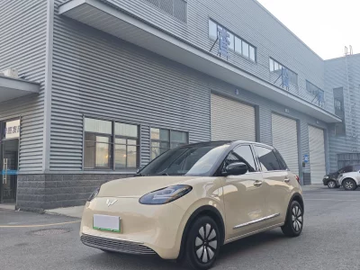 Wuling Bingo