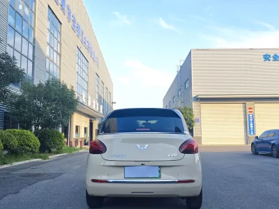 Wuling Bingo