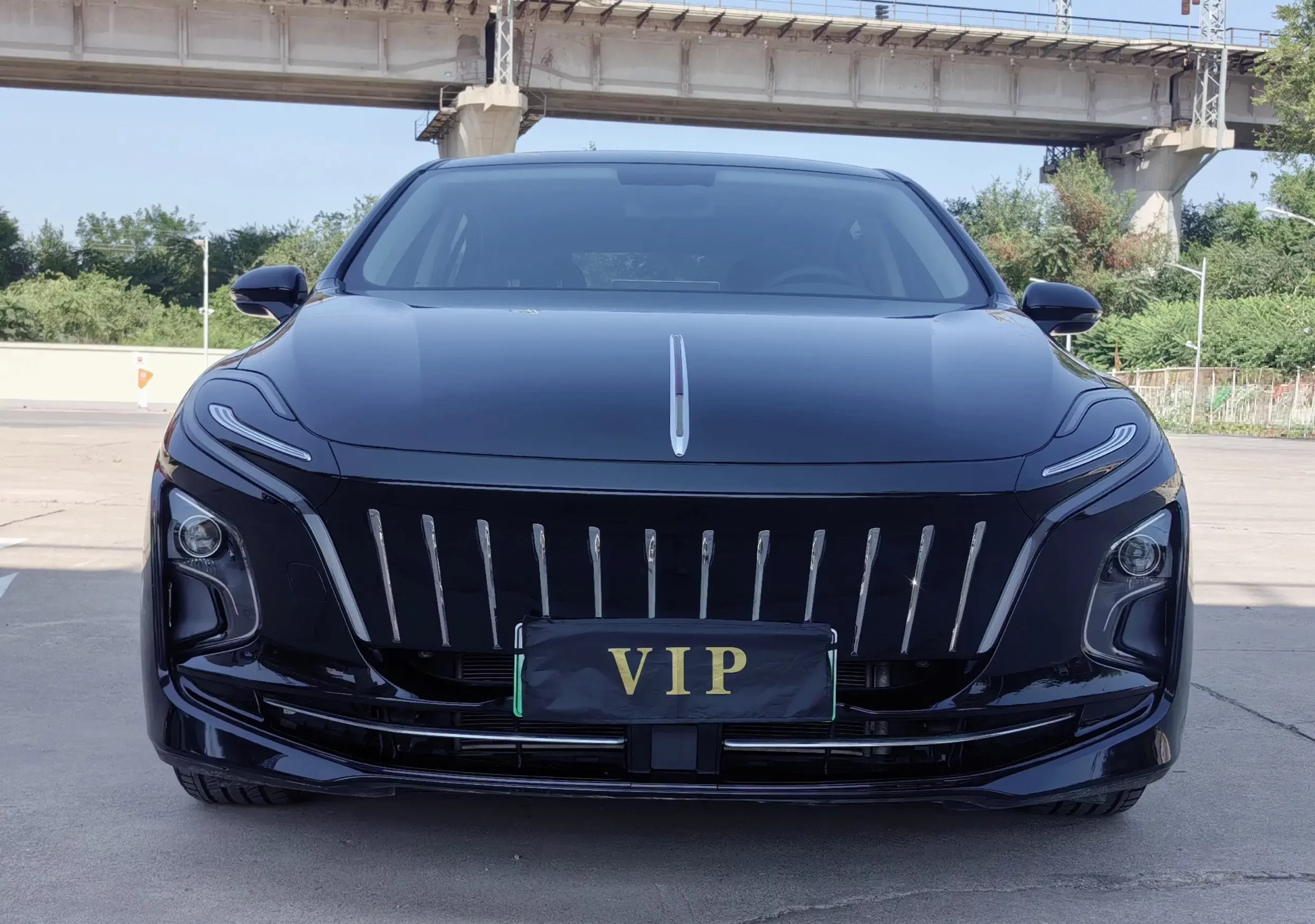 Hongqi E-QM5