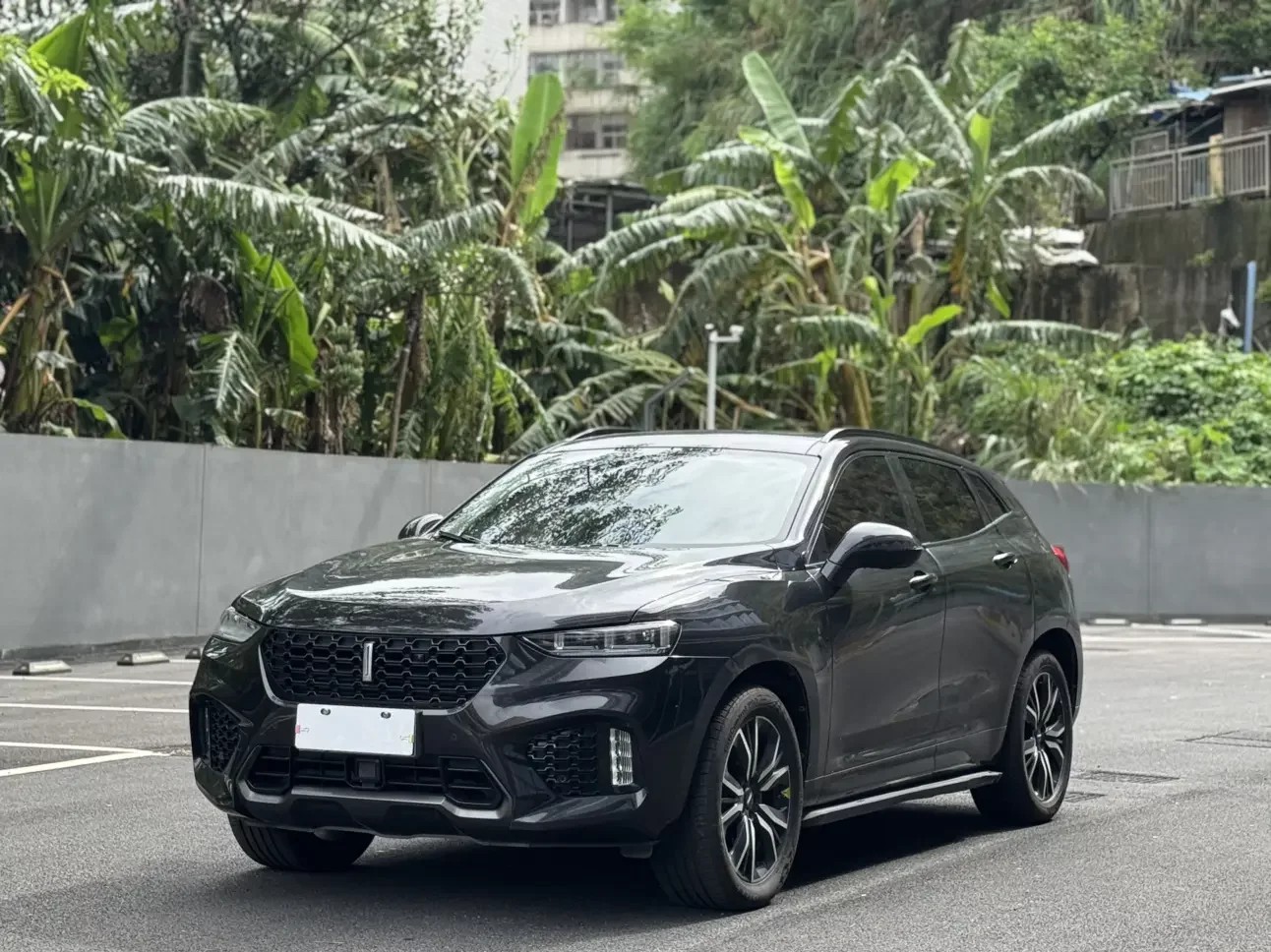 Wey Wei brand VV7