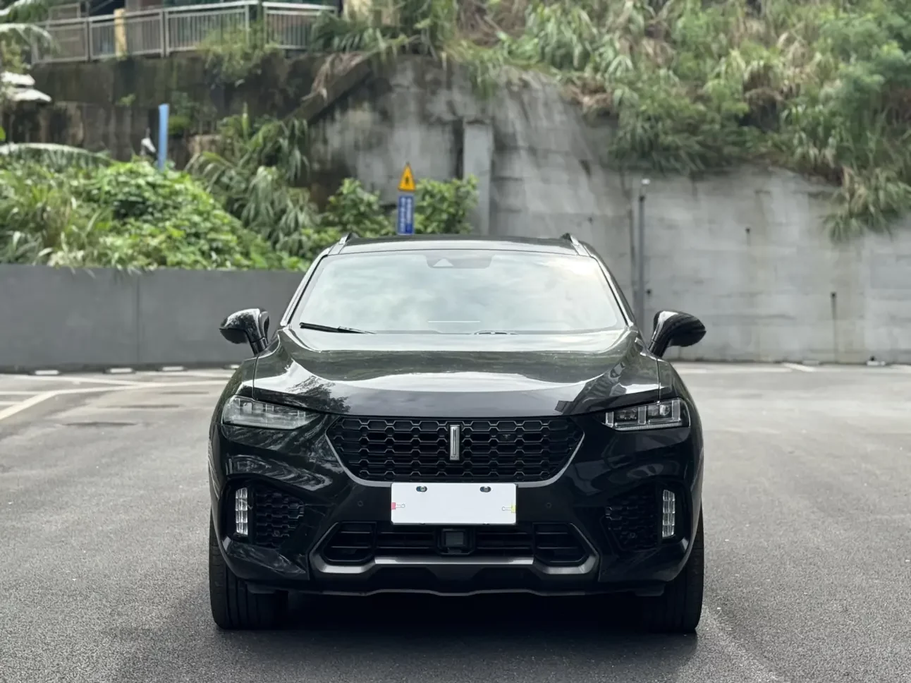 Wey Wei brand VV7