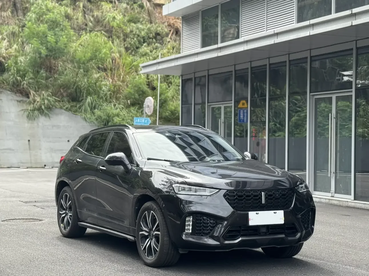Wey Wei brand VV7