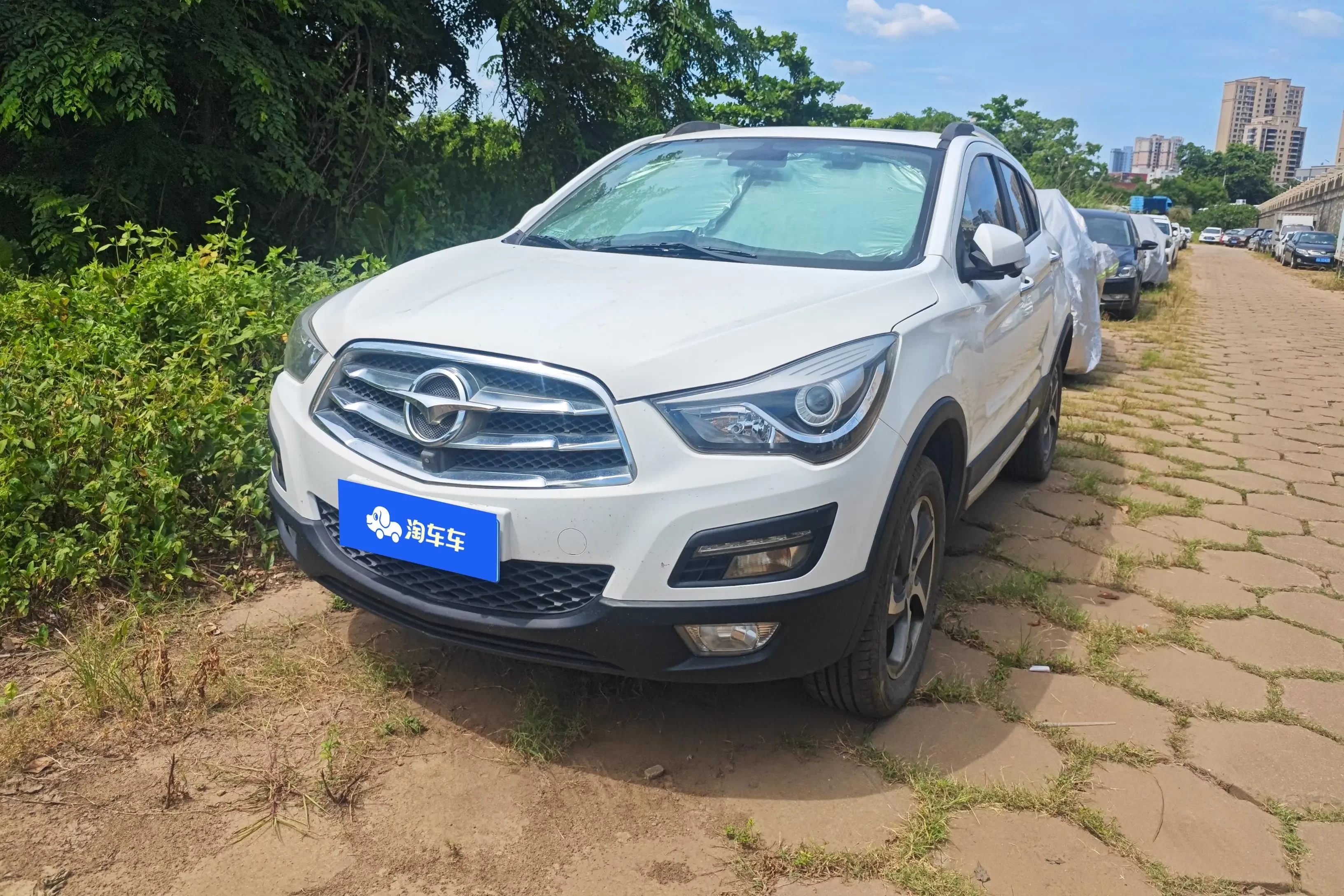 HAIMA S5