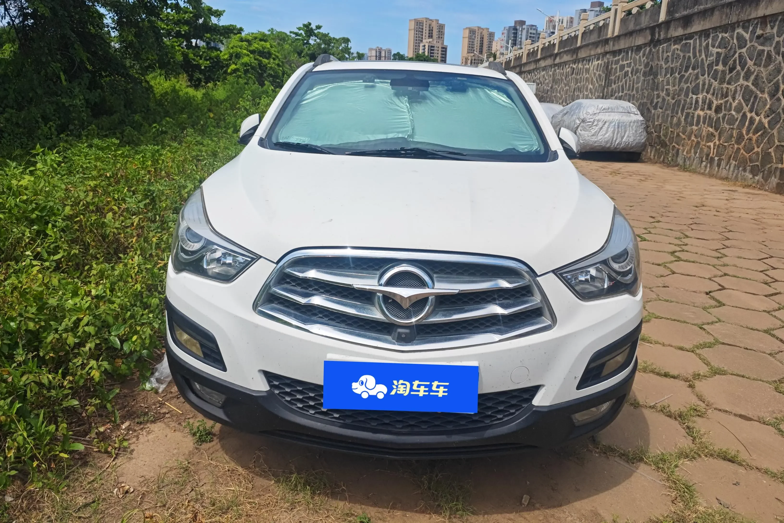 HAIMA S5