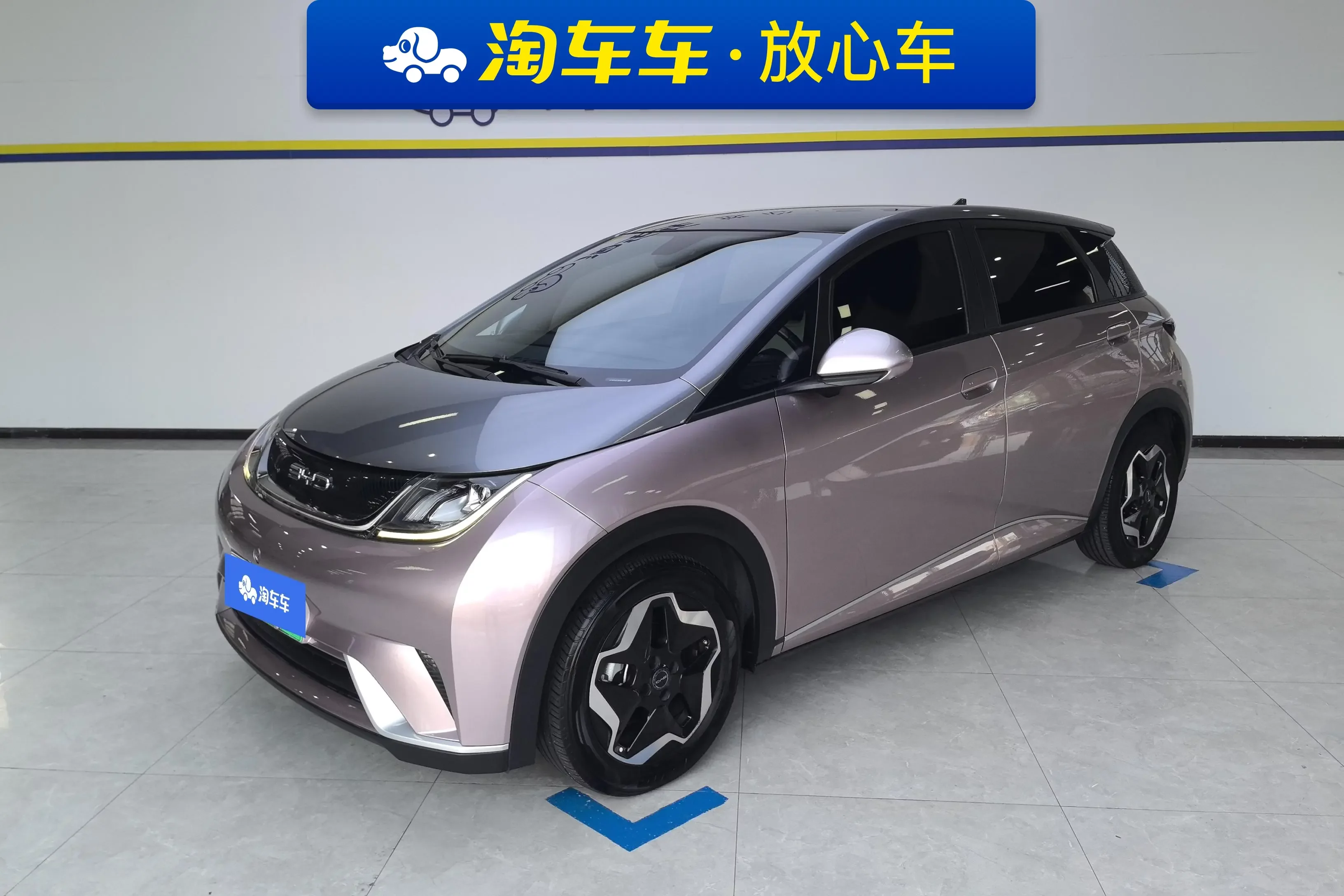 BYD DOLPHIN