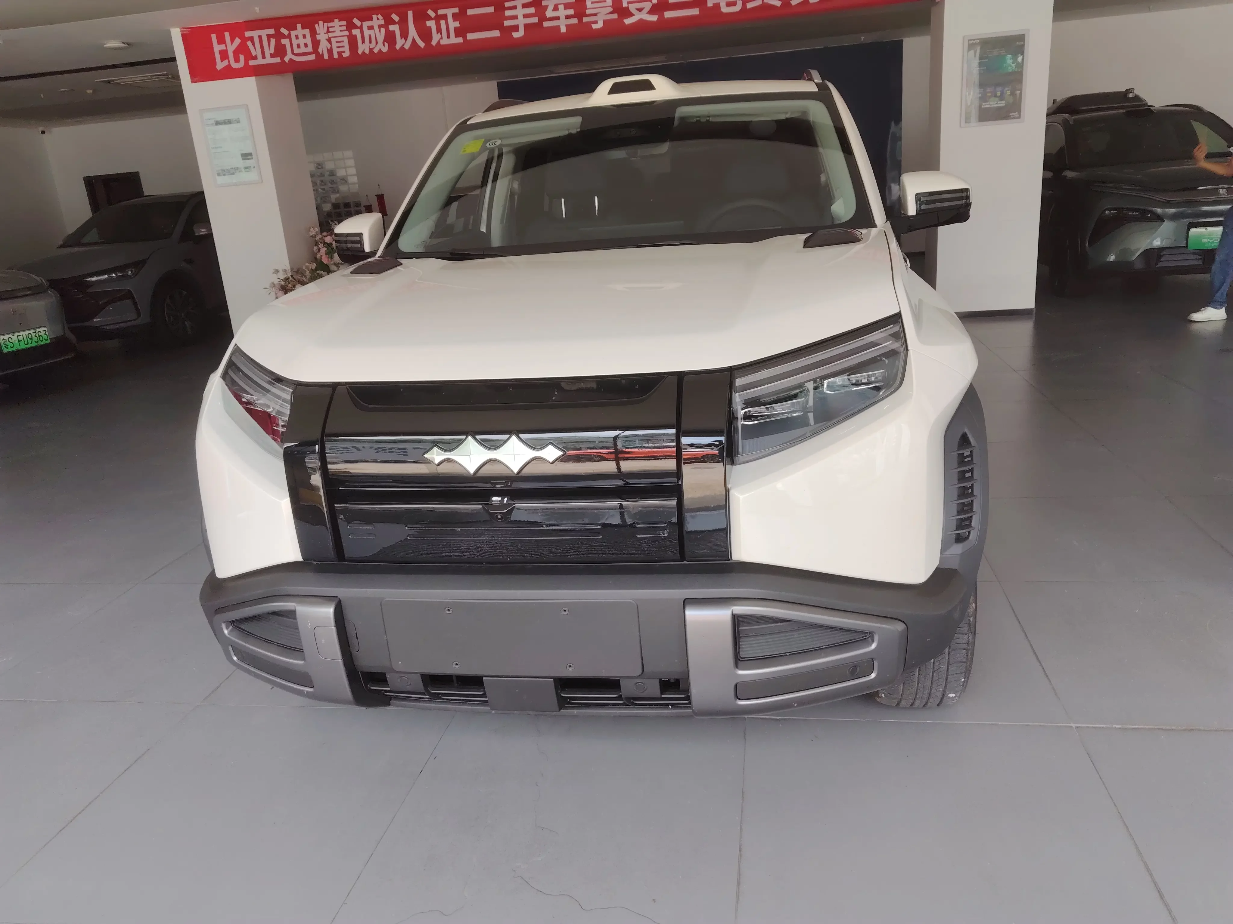 BYD Leopard Titanium 3