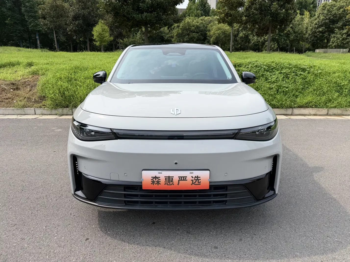 Leapmotor Zero running C10