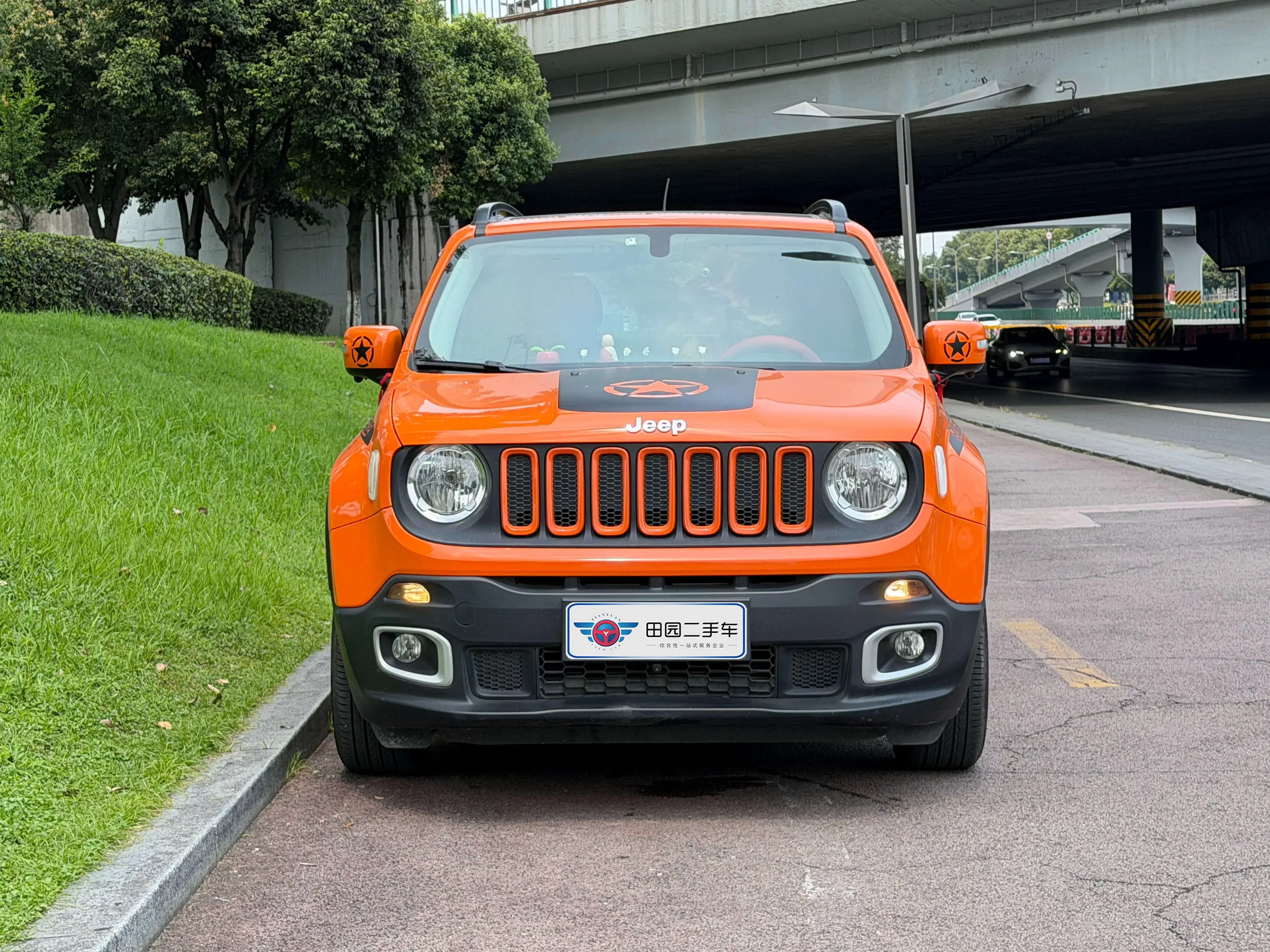 Jeep Freeman