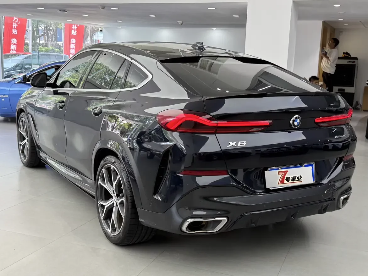 BMW X6