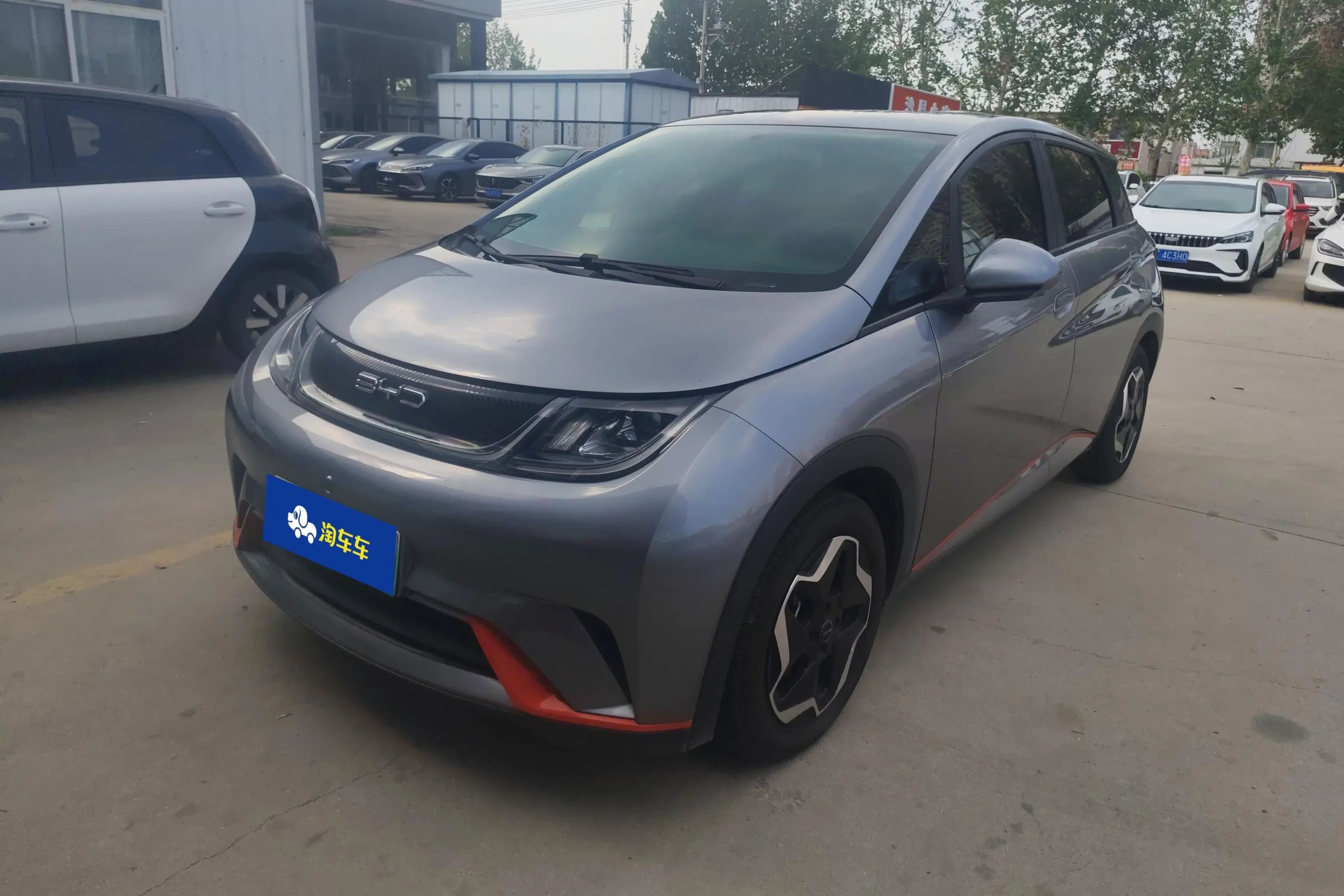 BYD dolphin