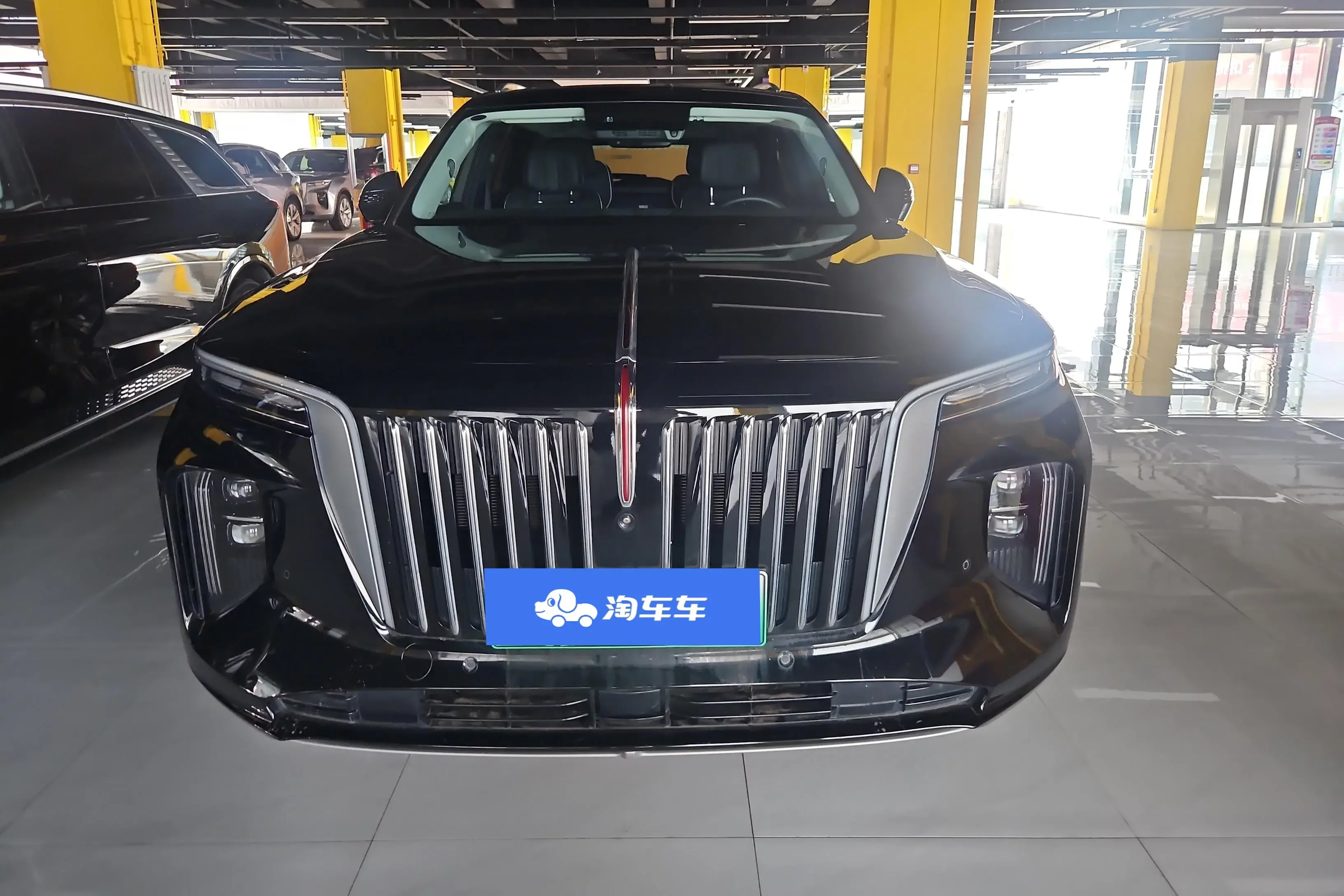 Hongqi E-HS9