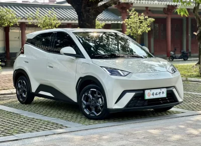 BYD Seagull